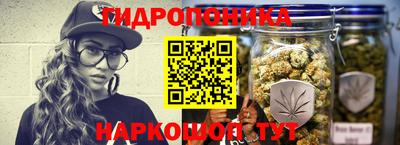 крисы Усть-Джегута