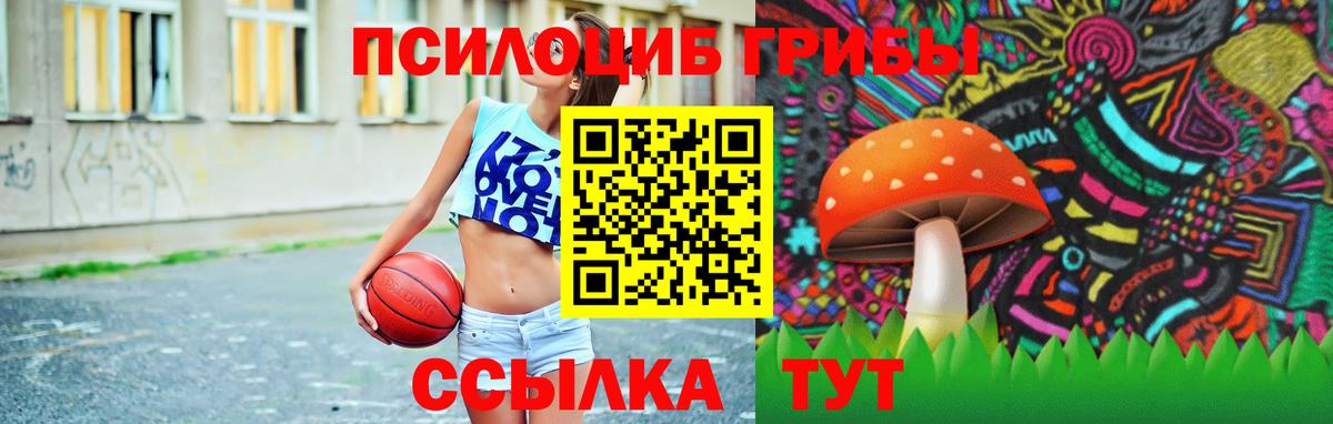 Псилоцибиновые грибы Psilocybe  Вход с VPN  Богородицк 